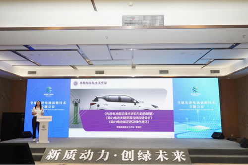 全球先進(jìn)電池前沿技術(shù)研討會在宜賓舉行，樹立電子科技領(lǐng)域風(fēng)向標(biāo)